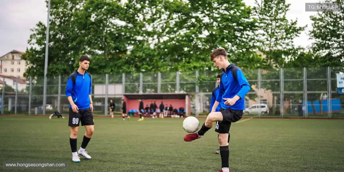 💻 多屏同看,精彩永不卡顿!